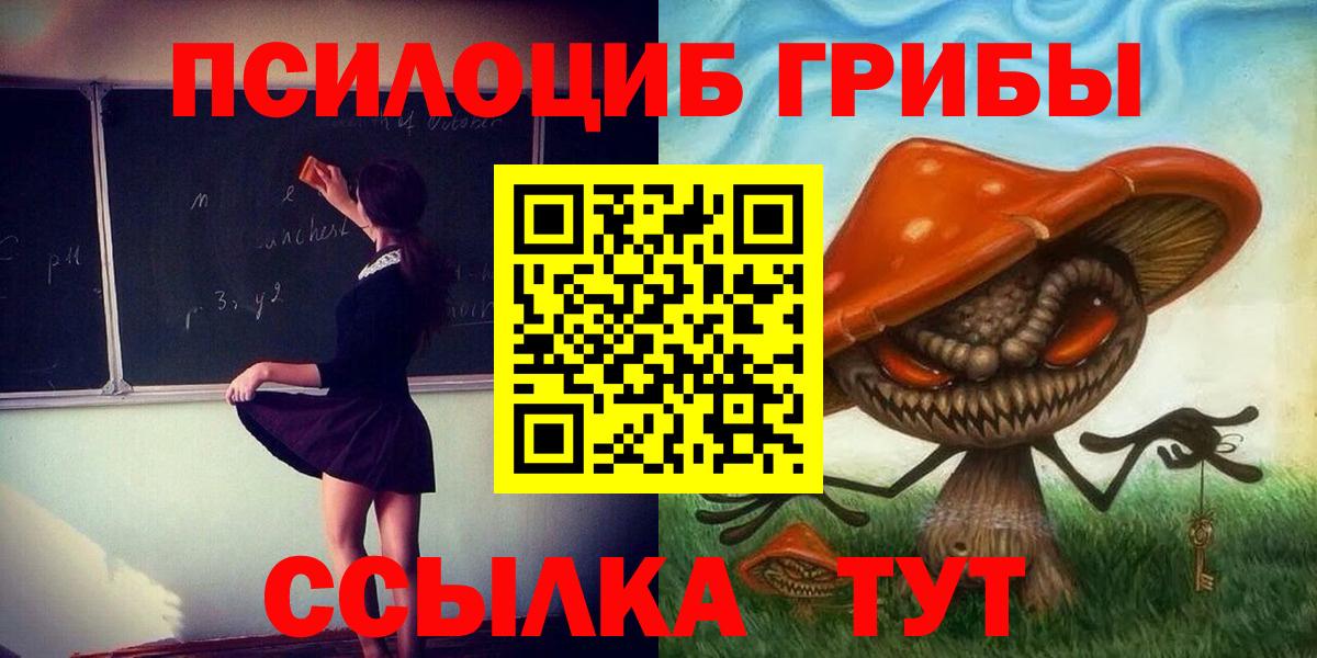 Волгоград  Псилоцибиновые грибы Psilocybine cubensis  Галлюциногенные грибы прущие грибы  Вход с VPN 