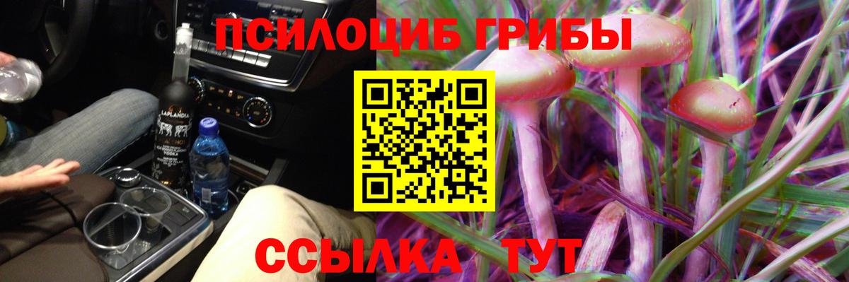Псилоцибиновые грибы Cubensis Волгоград